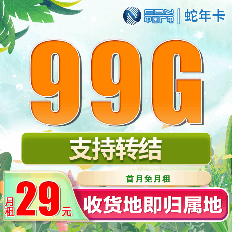广电蛇年卡，月租套餐29元含99G通用流量+语音通话0.15元/分钟+支持流量转接！
